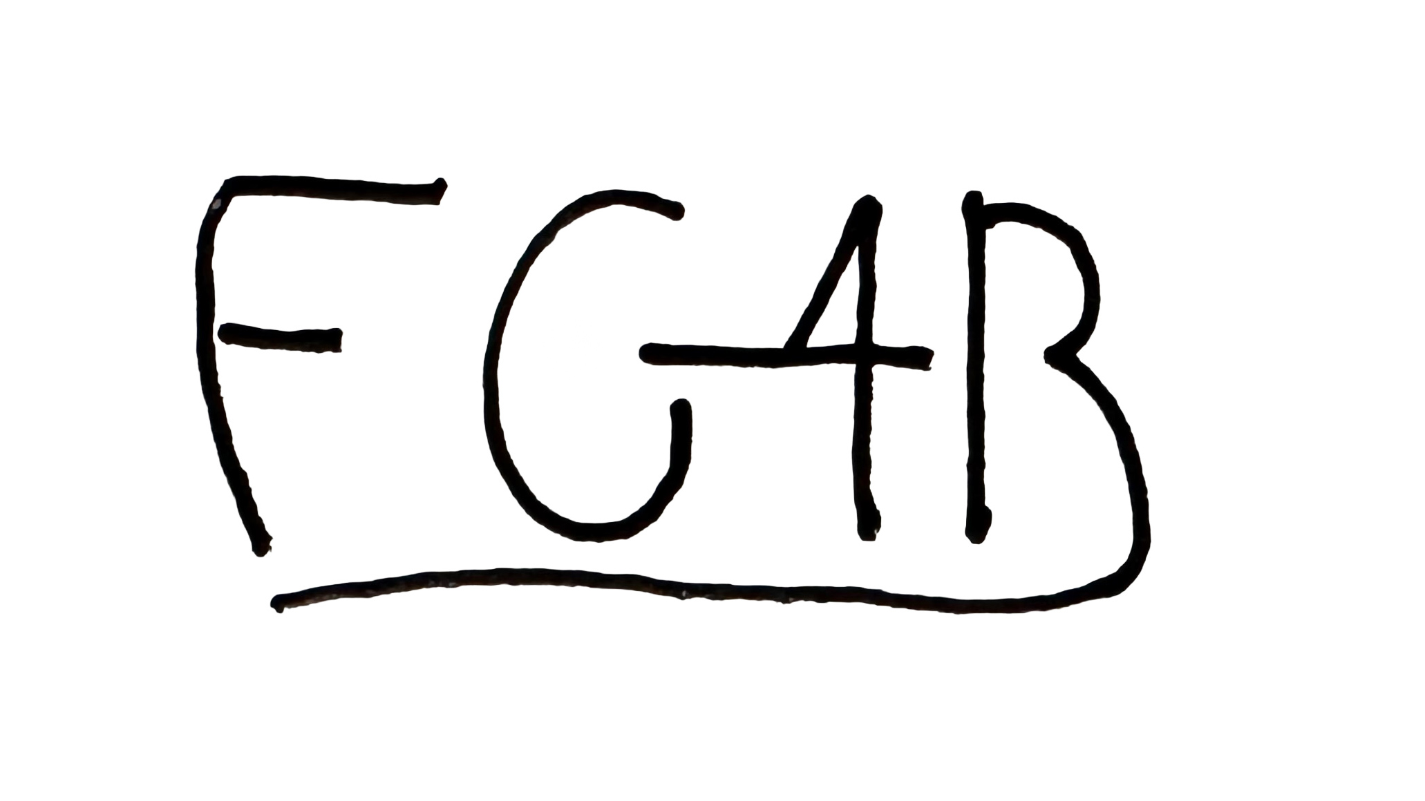 FG4B Logo